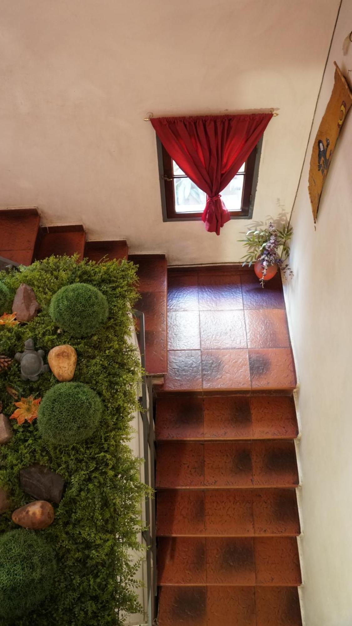 Hostel & Spa Mediterranea Cordoba Exterior photo